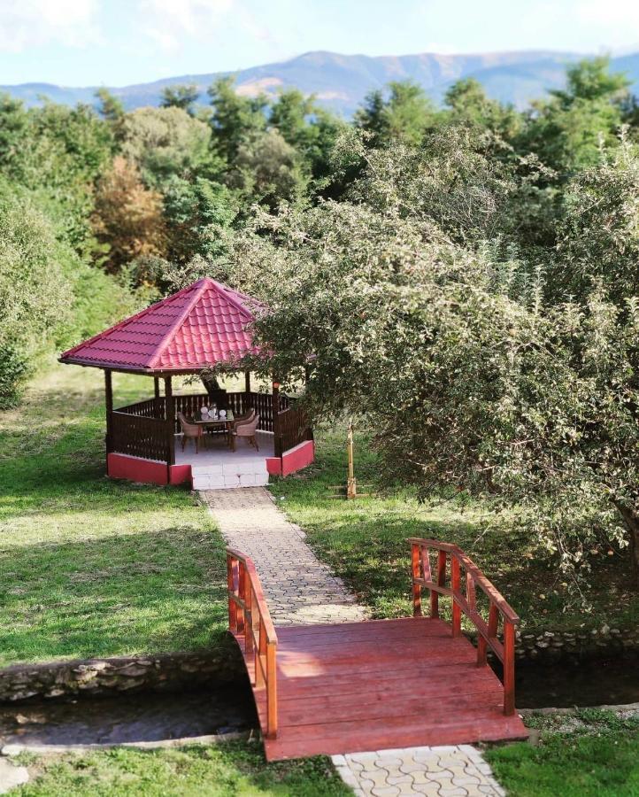 Horace Guesthouse Pool & Hot Tub & Bikes & River Dejani Zewnętrze zdjęcie