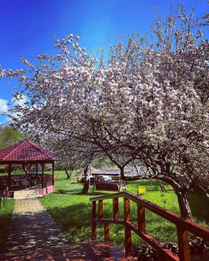 Horace Guesthouse Pool & Hot Tub & Bikes & River Dejani Zewnętrze zdjęcie